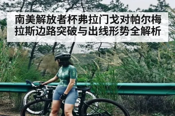 南美解放者杯弗拉门戈对帕尔梅拉斯边路突破与出线形势全解析